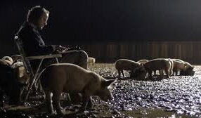Upstream Color/ Upstream Colour Review